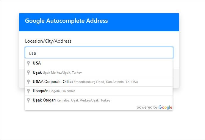 Google Autocomplete Address Result